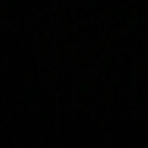 Meet your Posher, Noelle